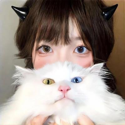 休赛期